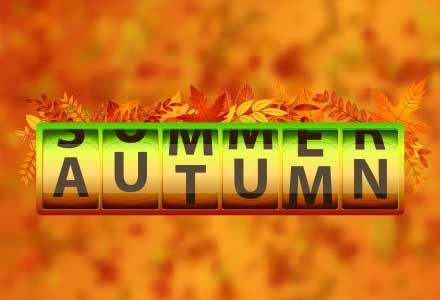reel that is changing from summer to autumn lettering, orange leaves in the background